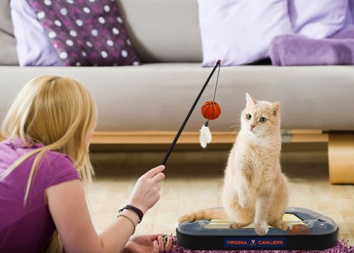 Pets First NCAA Basketball Court Cat Scratching Toy 6-in-1 Toy with Wand Teaser - Picture 327 of 353