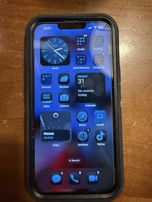 TIKTOK APP iphone 13 pro max unlocked Sierra Blue you would just delete all your