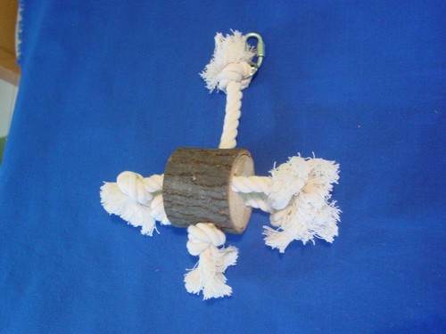 Spielzeug für Sittiche, Papageien und Exoten - Seil, Schaukel, Leiter, Sitzplatz - Bild 2 von 10