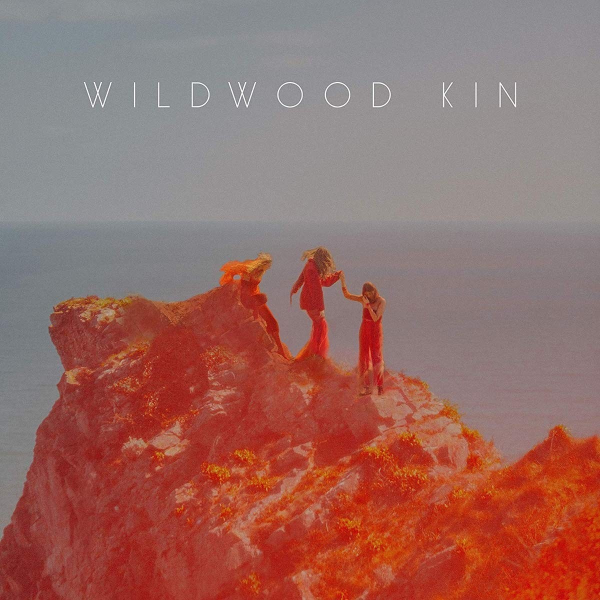 Wildwood Kin Wildwood Kin CD NEW