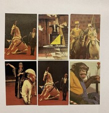 6 Taschenkalender Mini Kalender Календарики Zirkus UDSSR 1981-1982 (22)