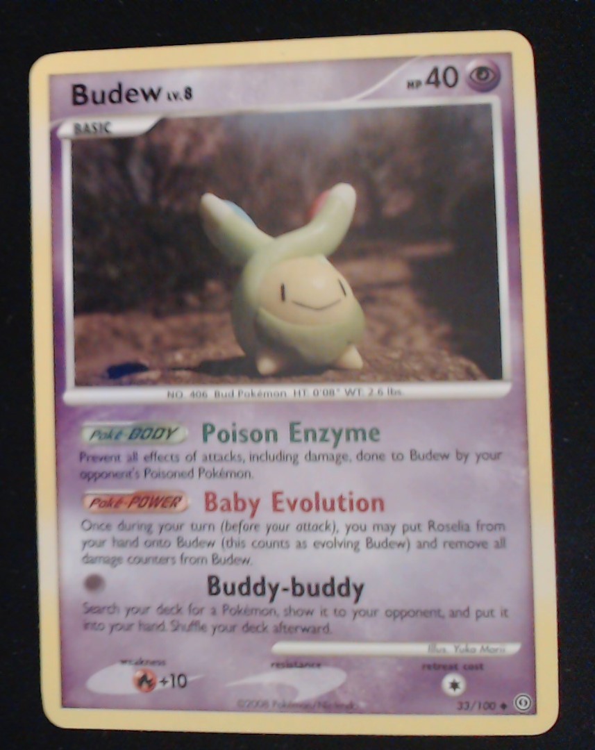 Budew 33/100 Uncommon Stormfront Pokemon Near Mint