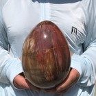 7.5LB Natural wood fossil Quartz Crystal egg  Mineral specimen Healing — photo 4
