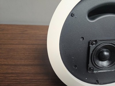 Bose FreeSpace DS 16F Loudspeaker Ceiling-Mounted Speaker | eBay