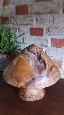 Pilz Teakholz Skulptur Fliegen Delikatesse Wiese Natur Champignons Giftig Deko