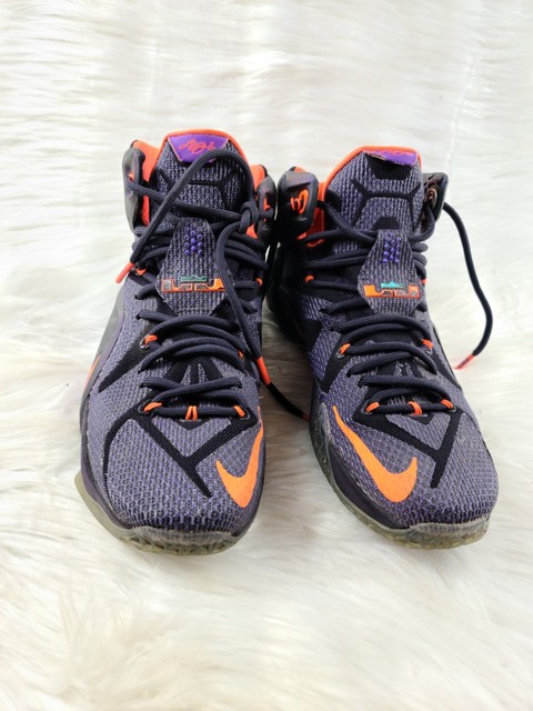 nike lebron 12 instinct