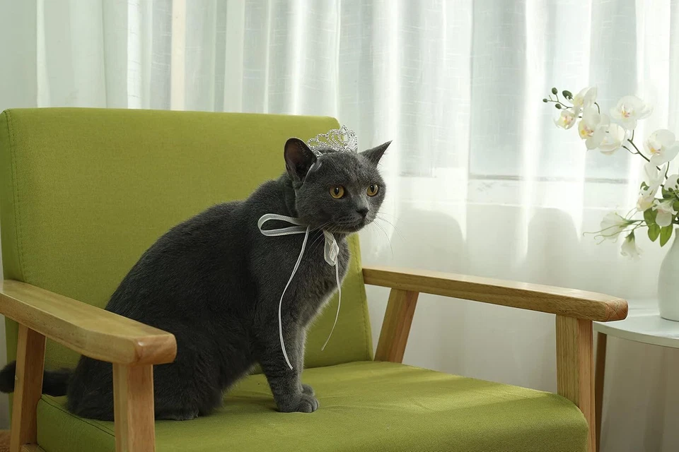 Tiara corona clásica de petalos con estrás perro/gato serie mascota para disfraz mini perro tiburón Foto 3 de 4