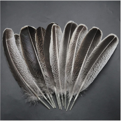 Turkey Feathers  12Pcs Natural Turkey Feathers Clothing, Hats, Holiday Decoratio