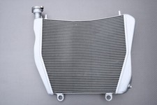 Radiatore Acqua Ricambio Tipo Originale per DUCATI STREETFIGHTER V4 / S 2020-24