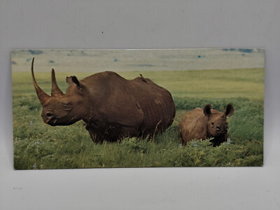 Nestlé WUNDER DER WELT Karte Nr. 19 ''Das Nashorn''