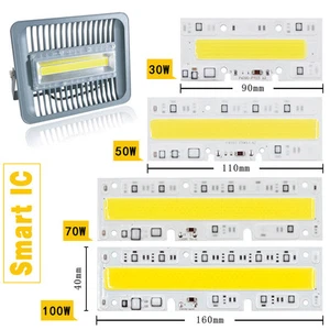 30W 50W 70W 100W LED COB Lampe à ampoule 220V IP65 Intelligent IC Pour DIY LED Lumière d'inondation