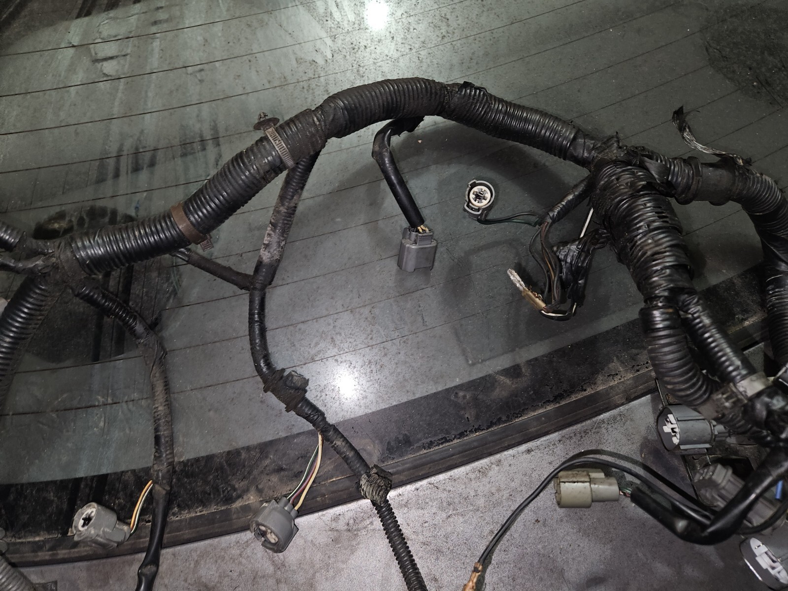 19921995 Honda Civic 1.5 D15B7 M/T Engine Wire Wiring Harness eBay