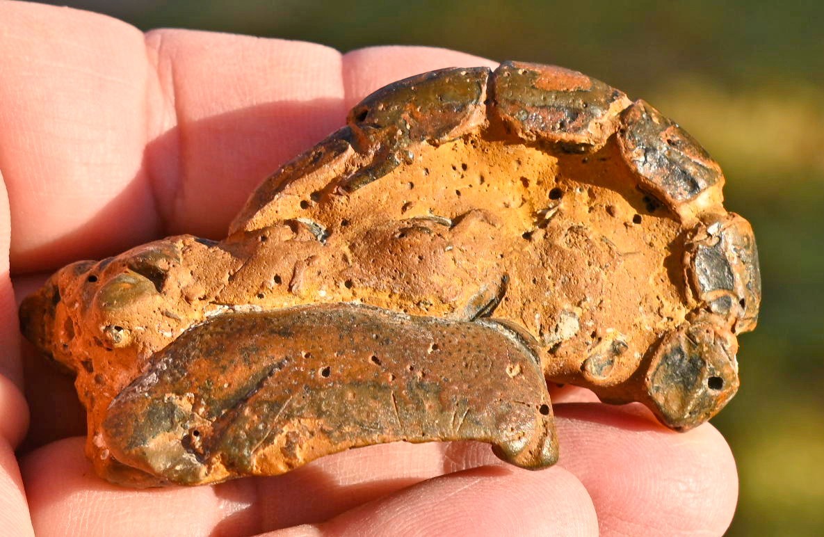 Thalassina anomala, Fossil Lobster, Gunn Point, Australia #1