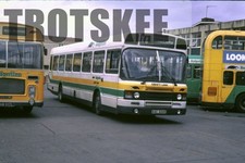 35mm Slide Badgerline Leyland National 3520 AAE664V 1987