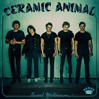 Ceramic Animal - Sweet Unknown - Vinyl Record 12 Inch Record - G3Z