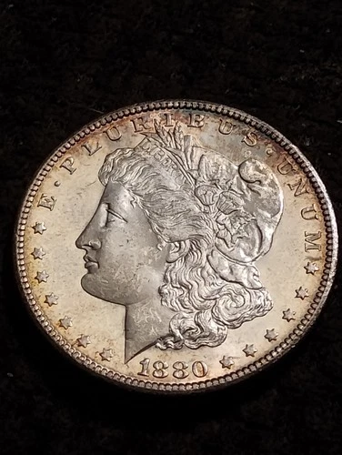 1880 S Morgan dollar, GEM BU PL  or DMPL very reflective surfaces.