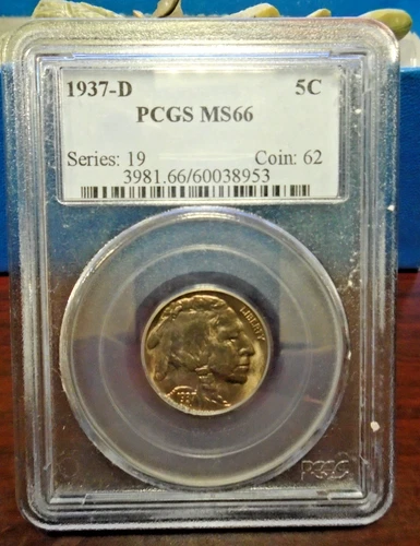 1937 D United States Buffalo Nickel PCGS MS 66 Stunning Shiny Coin