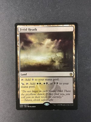 Fetid Heath - Masters 25 - Magic the Gathering - MTG