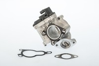 Borgwarner Agr-Ventil Elektrisch FüR Renault Master III Kasten 2.3 Dci 150 RWD