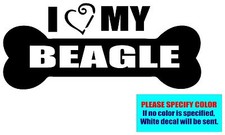I LOVE MY BEAGLE 019 Vinyl decal sticker Graphic Die Cut CAR Truck 12"