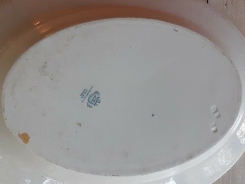 RARE Antique 1890s JOHN MADDOCK & Sons Royal Vitreous HEUMANN 19" OVAL PLATTER - Picture 11 of 12