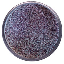 Wow Embossing Powder 15ml Colour Blend - Rose Gold