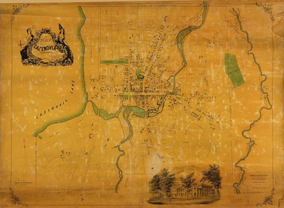 #ad Map of Cazenovia Madison County New York 1852 $255.95