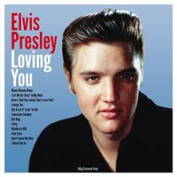 Elvis Presley - Lovin You - Vinyl Record - G3Z