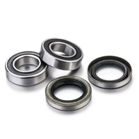 Factory Links RWK-B-001 Rear Wheel Bearing Kit