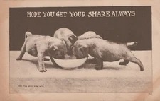Hope You Get Your Share Always Cute Dog Greeting Divided Back Vintage Postcard