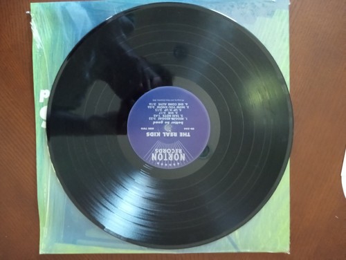 The Real Kids – Better Be Good LP Record Norton Records The Modern Lovers Punk - Picture 11 of 14
