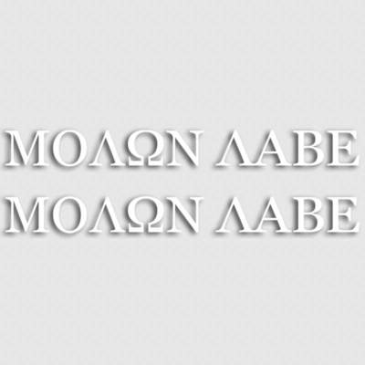 Molon Labe Come & Take 2nd Amendment Gun Rights America USA Black