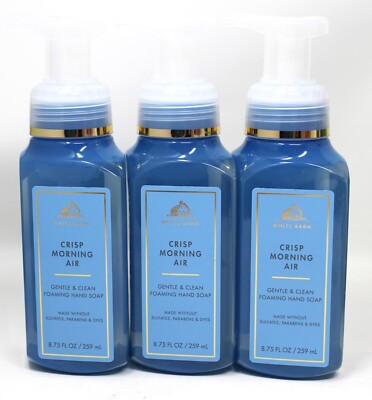 Bath & Body Works Crisp Morning Air Gentle Foaming Hand Soap Lot of 3 8.75 oz