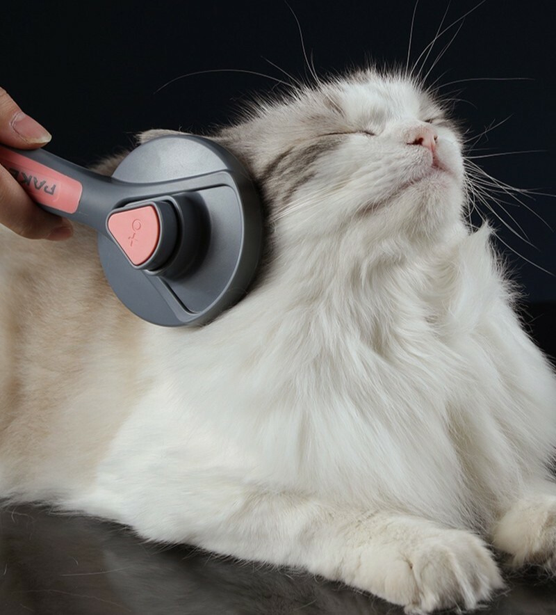 Brosse chien et chat pour le toilettage quotidien salon de massage à la maison