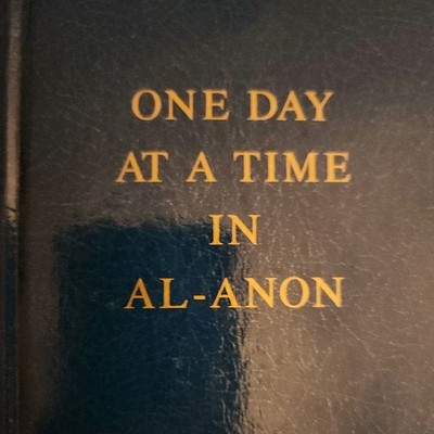 One Day at a Time in Al-Anon by Al-Anon Family Groups Free Shipping BRAND NEW