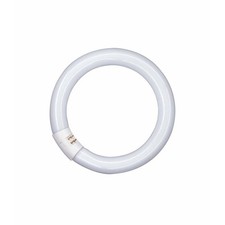 Osram Leuchtstoffr&ouml;hre LUMILUX C - T9, 840 Neutralwei&szlig; - 40W - R&ouml;hre Licht Lampe