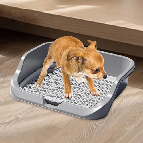 Hunde-Toilette Indoor - Trainings-Tablett Mit Urin-Auffangsystem