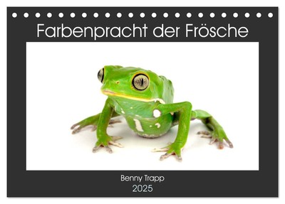 Farbenpracht der Frösche (Tischkalender 2025 DIN A5 quer), CALVENDO Monatskalend
