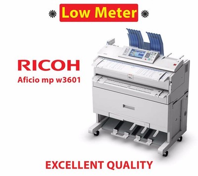 ricoh large format
