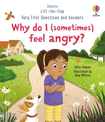 Very First Questions and Answers: Why do I (sometimes) feel  ... 9781801313155