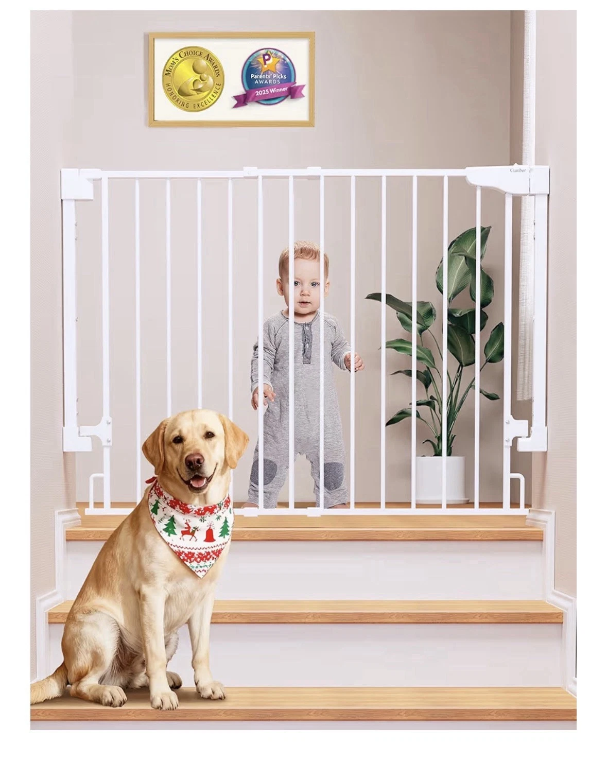 Baby gate For Stairs (A-35)