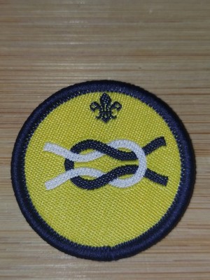 UK Scouting Current Beaver Scout Activity Badge Camp Craft ALTES LOGO