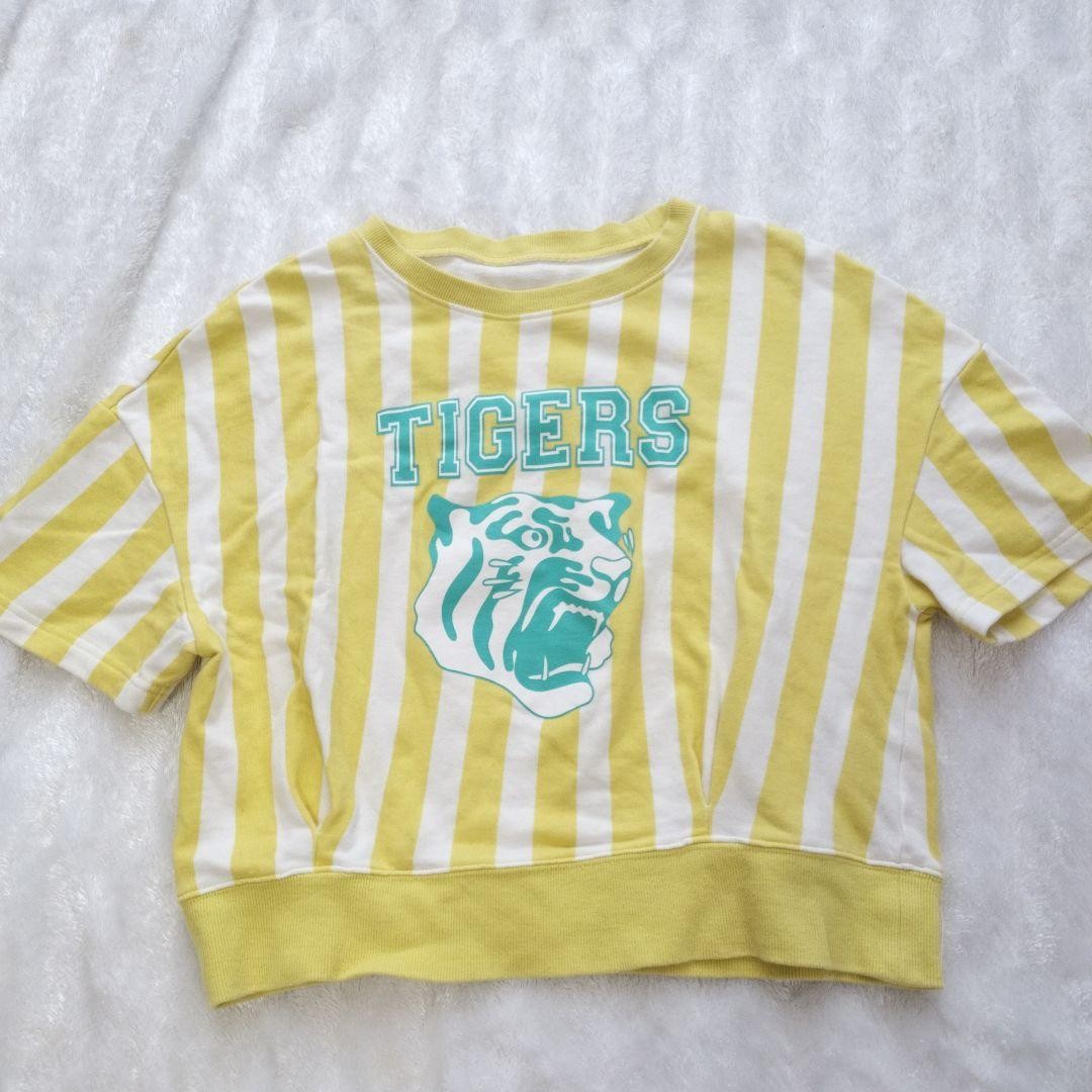 5-Piece Set Including Official Hanshin Tigers Toraco Spectator Uniforms