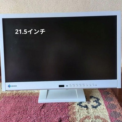 EIZO 21.5 Inch White Display Monitor with Front Control Buttons and Stand