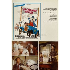 THE SHAGGY D.A. French Herald/Trade Ad  - 7x9 in. - 1976 - Robert Stevenson, Dea