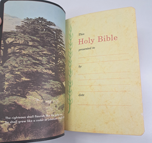 Vtg 1972 Holy Bibe Concordance Revised Standard Version Red Letter Thomas Nelson - Afbeelding 7 van 13