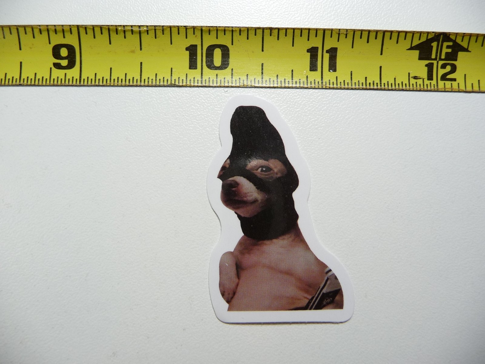 Cute Funny Robber Dog Sticker Decal Small Pet Lover Gift AX160