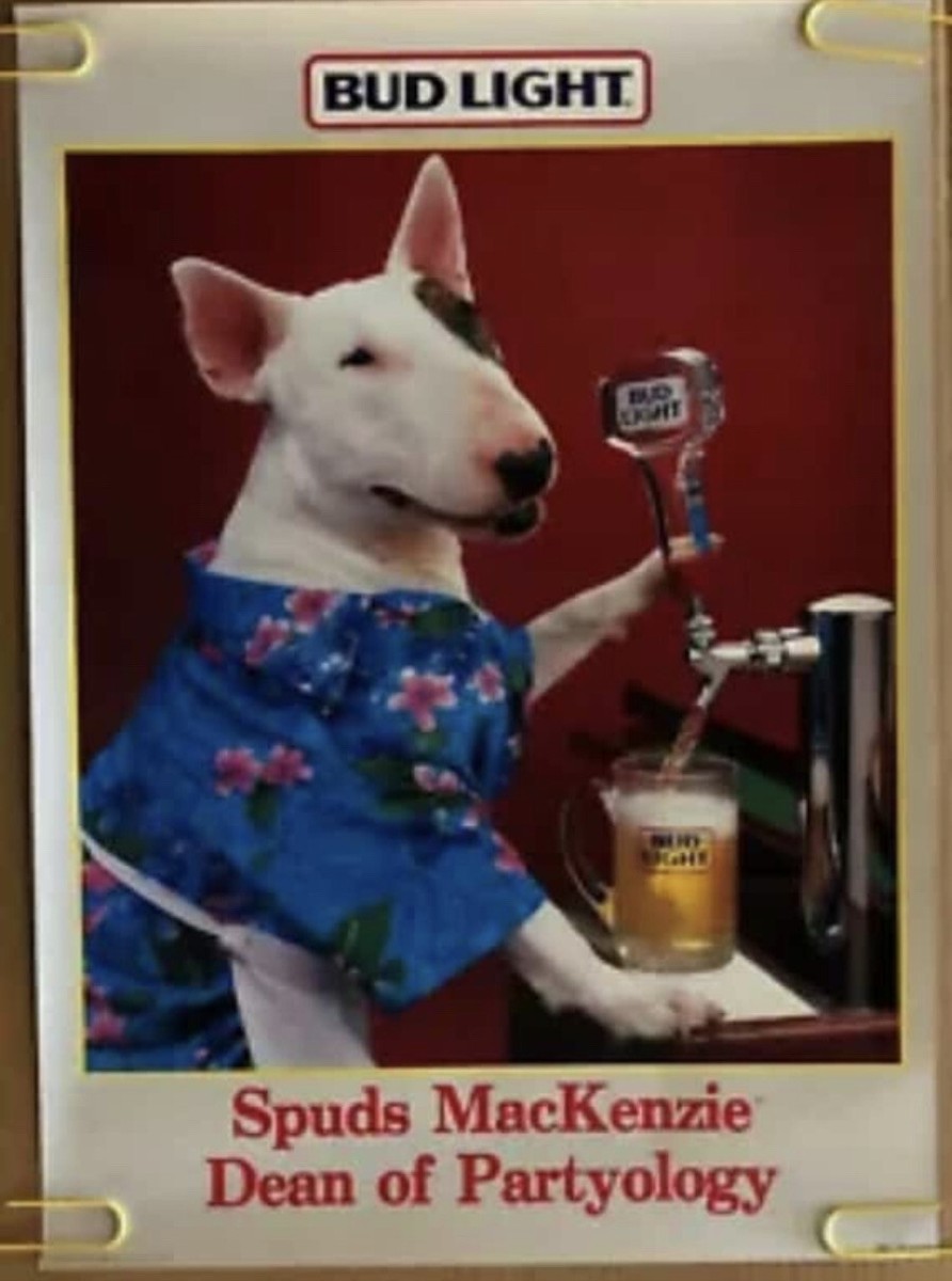 Original Vintage Poster Spuds MacKenzie Dean Of Partyology Bud