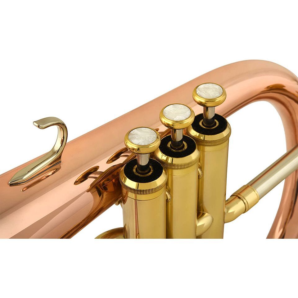 Flügelhorn Chicago Winds CCFH4100L Flugelhorn Flügel Horn Waldhorn
