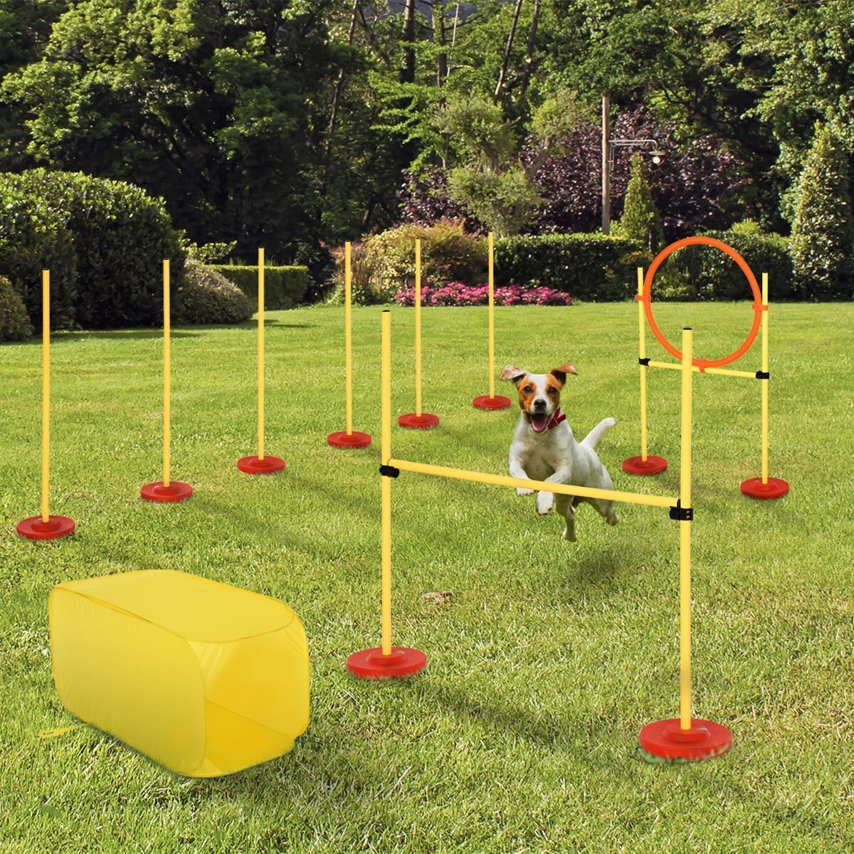 Outdoor agility workout hot sale